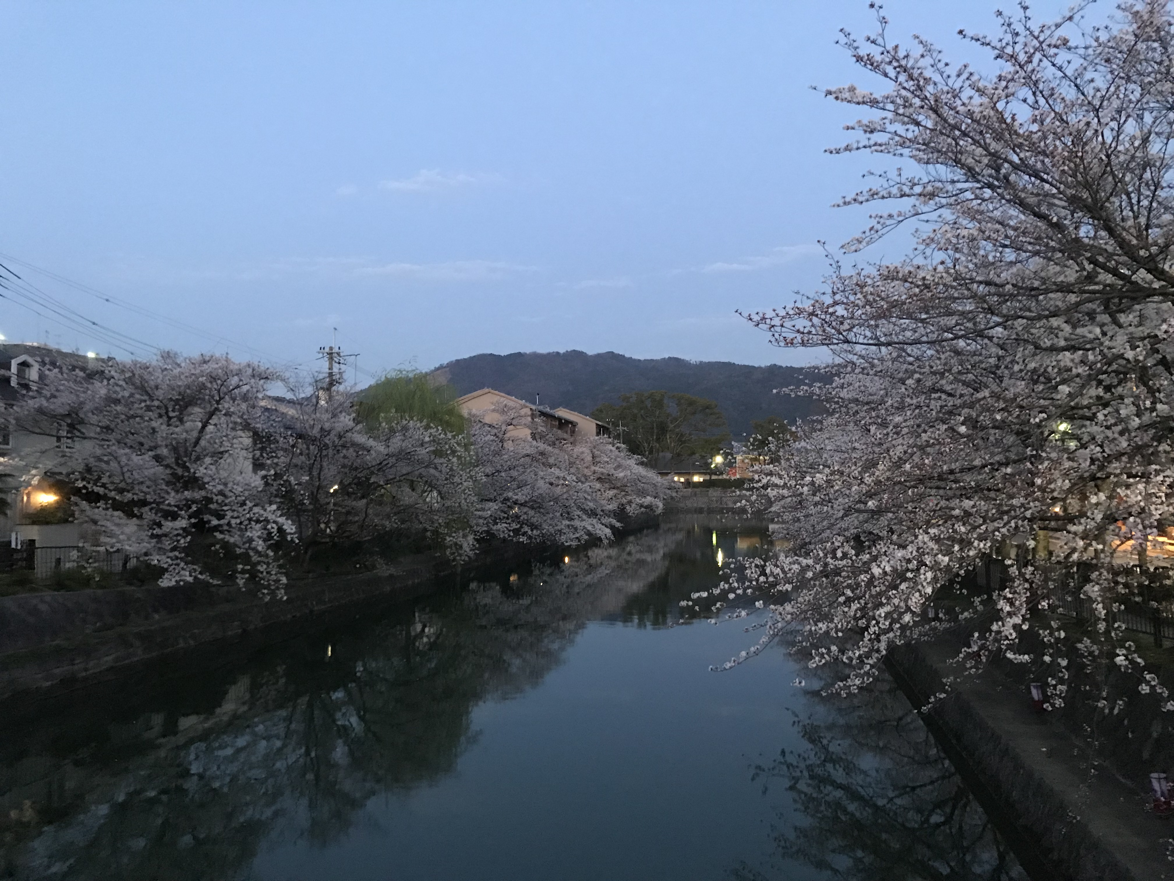 綺麗な気持ちに！