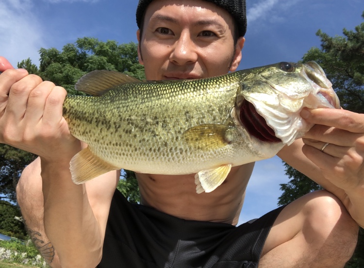 去年の今頃…