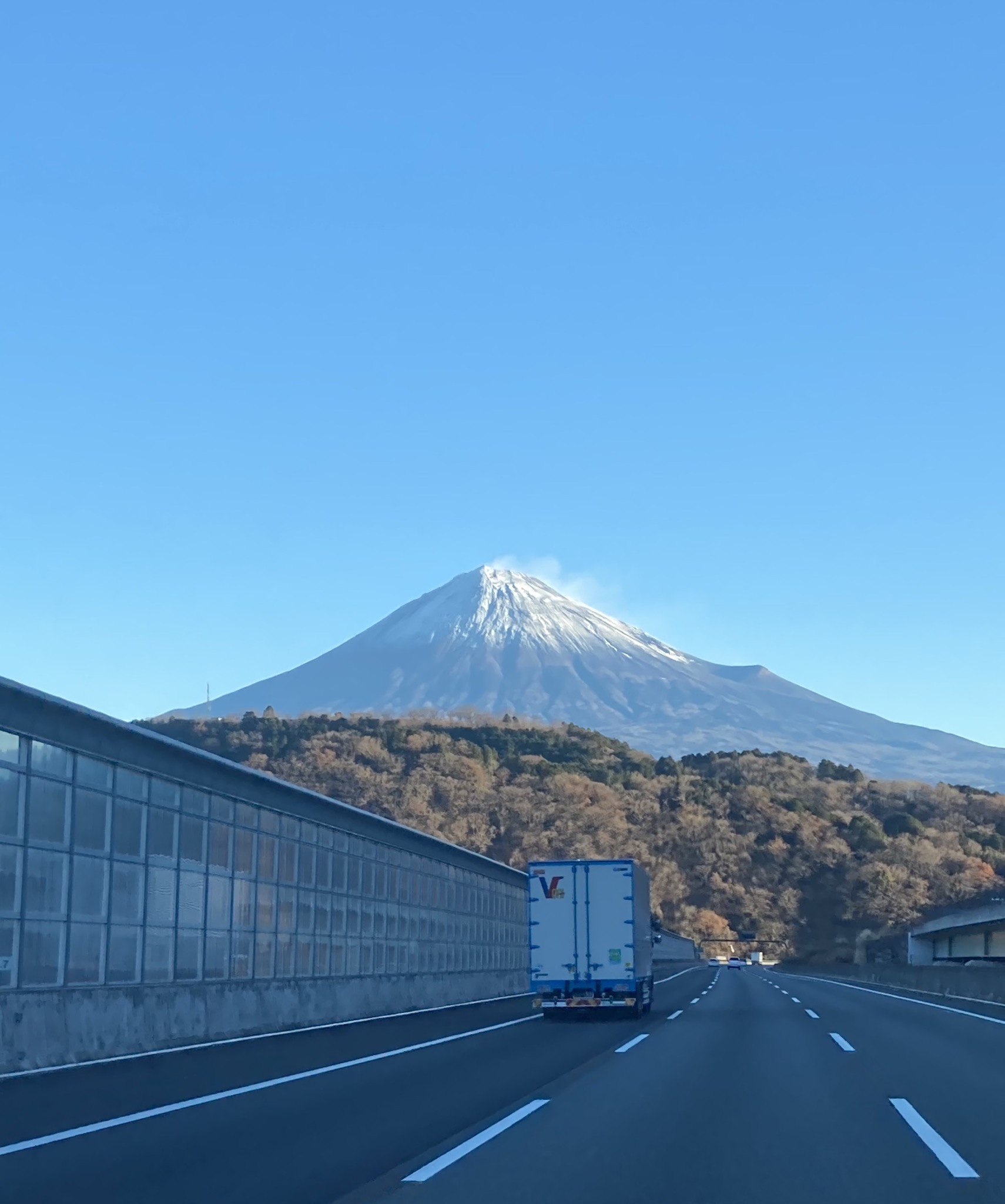 今年も宜しくお願い致します